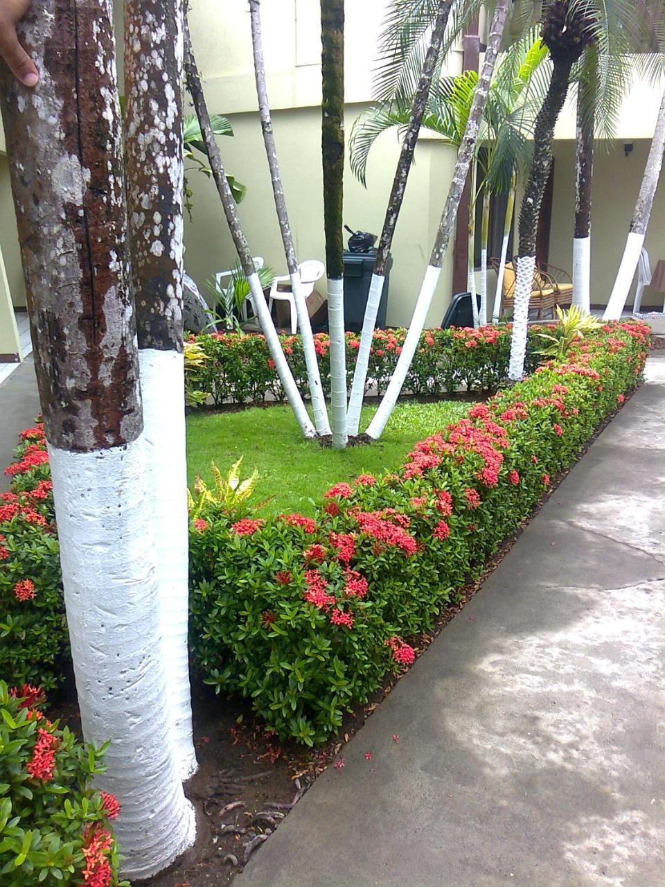 Hotel Mango Mar Jaco Bagian luar foto